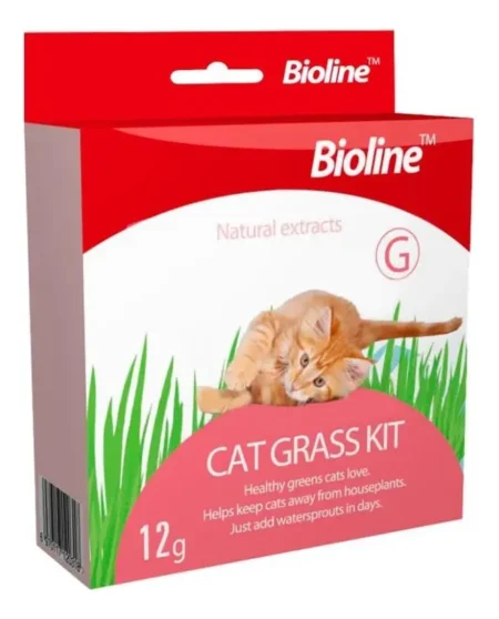 Kit de Siembra de Pasto para Gatos (Hierba Gatera Natural Digestiva Anti-Bolas de Pelo)